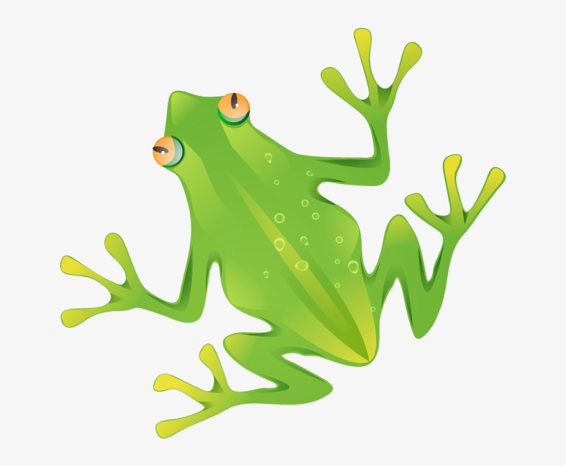 Wildwood Wildlife Park Supports Classroom Studies And - Frog, transparent png #1842304