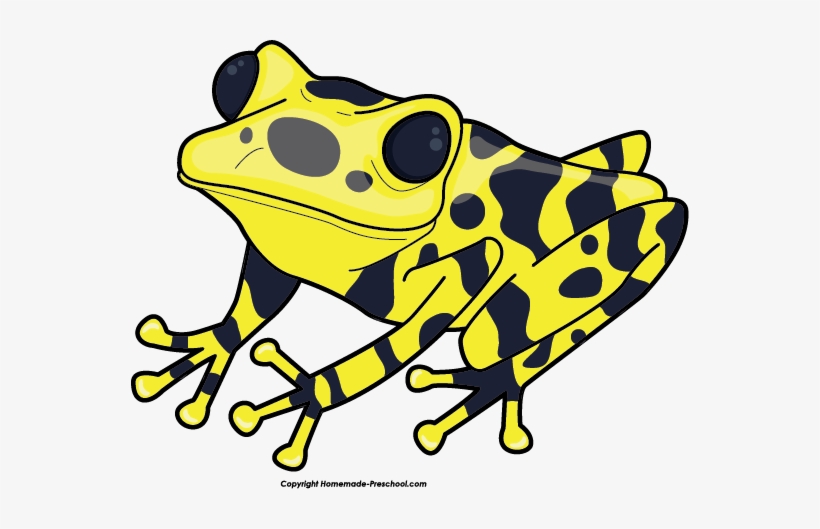 Click To Save Image - Poison Dart Frog Clip Art, transparent png #1842339