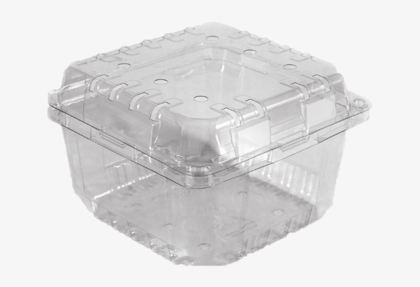 Clamshel 3 Lb - Pet, transparent png #1843204