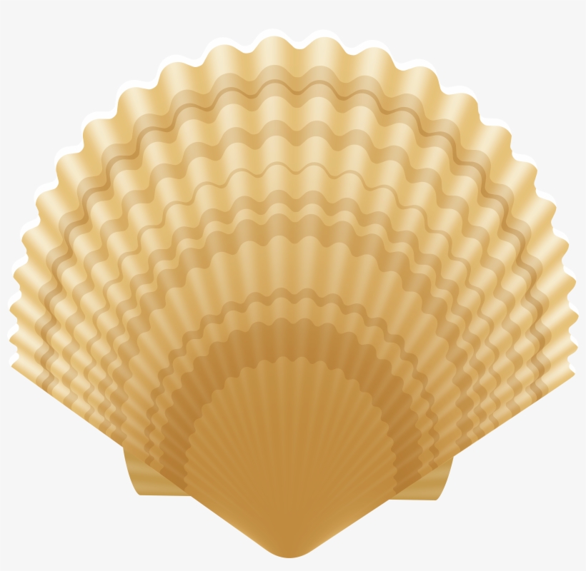 Clam Shell Clip Art Image - Ceiling, transparent png #1843494