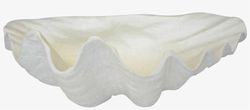Giant Clam, transparent png #1843765