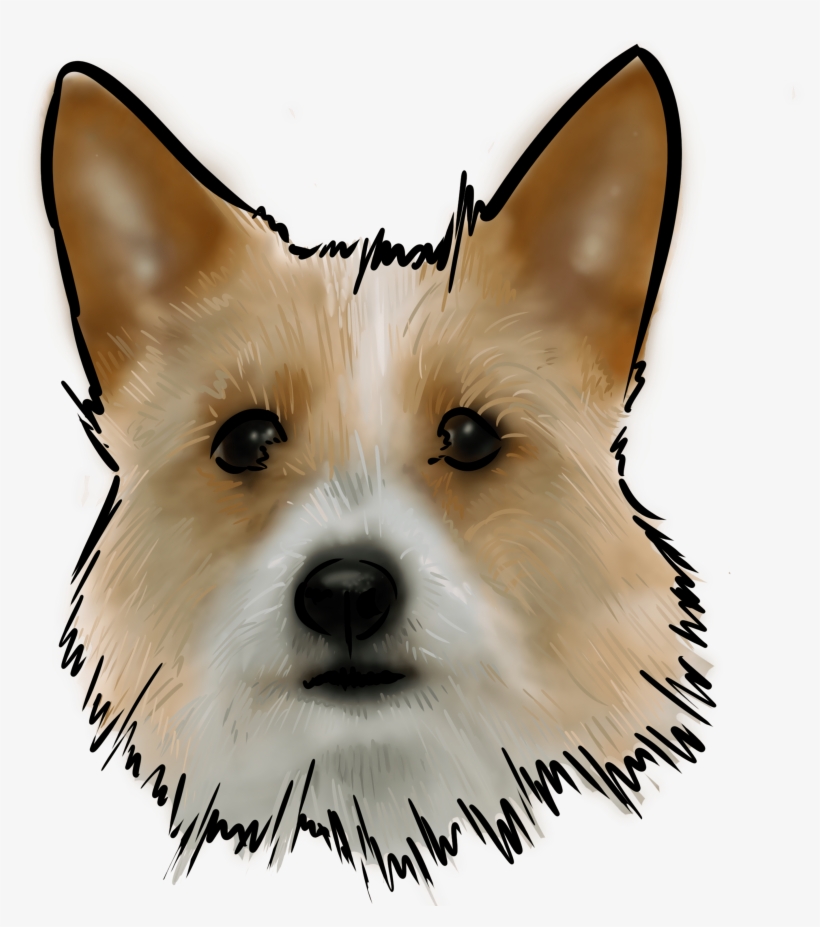 The Portuguese Podengo, Definitely Not To Be Referred, transparent png #1844219