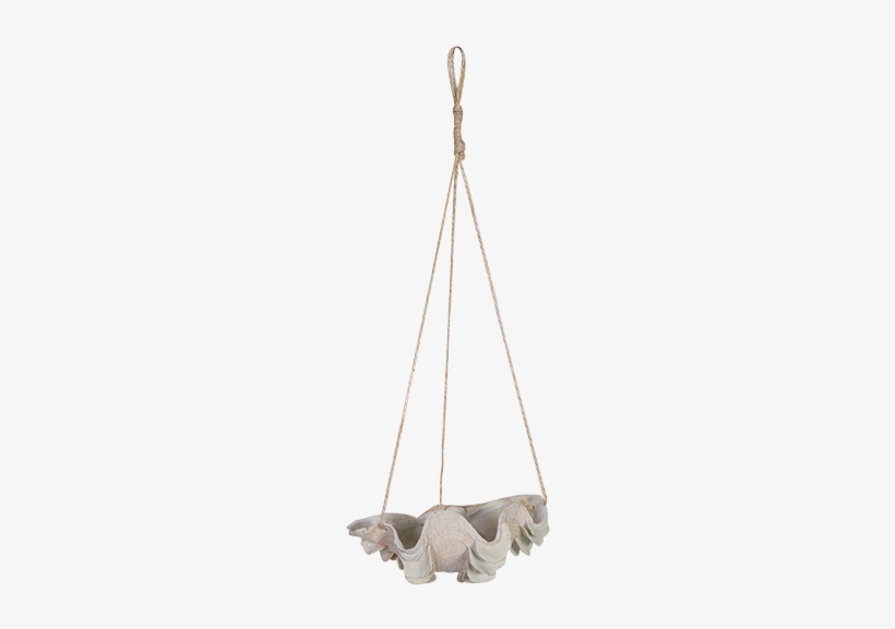 Hanging Clam Shell Planter - Beachside Bargains Evans Head, transparent png #1844245