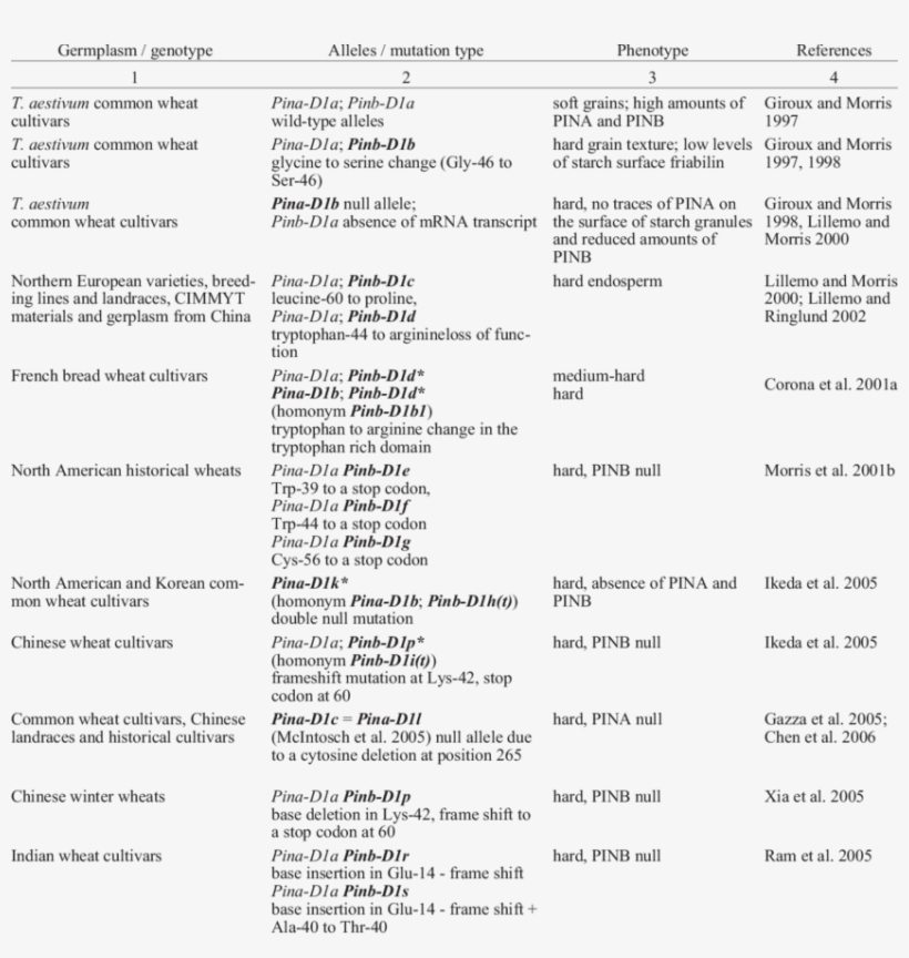 The Types Of Known Allele And The Phenotypes Of Grain - Cultivar, transparent png #1844772