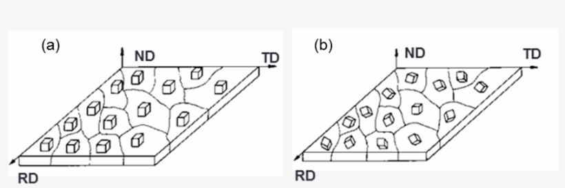 Random Texture - Portable Network Graphics, transparent png #1844820