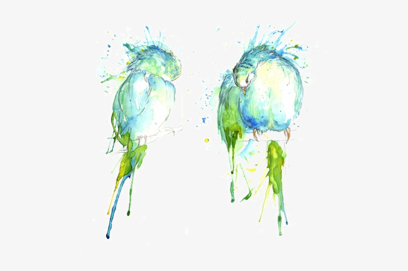 They Have A Cave Troll - Budgie Series - Preening Pair Canvas Print - Small, transparent png #1845157