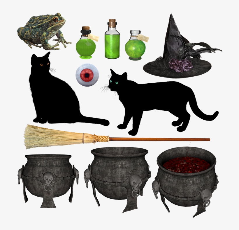 Witch, Halloween, Hat, Broom, Black, Cat, Potion - Witch, transparent png #1846543