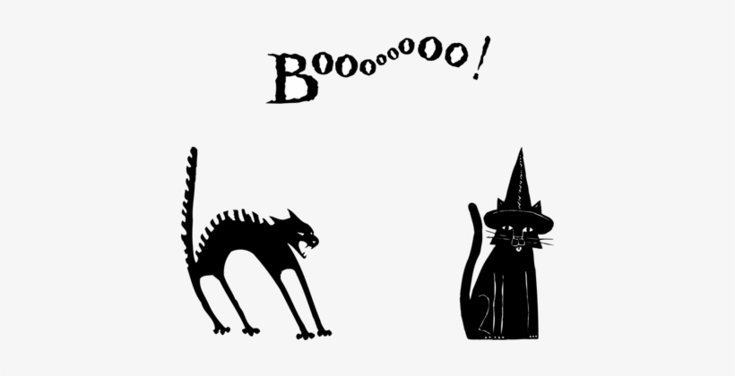 Black Cat Black And White Halloween - Black Cat, transparent png #1846763