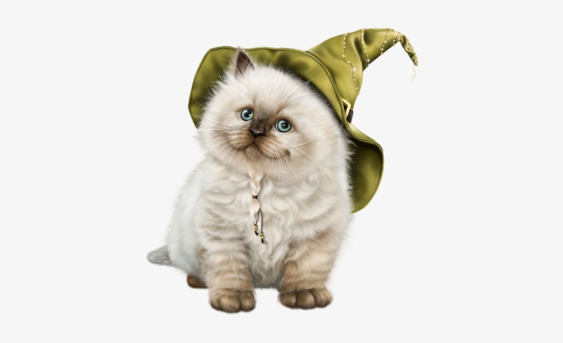 Cat, transparent png #1846917