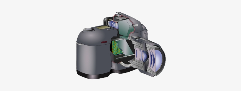 Their Smaller Dslr Counterparts - Componenti Macchina Fotografica Digitale, transparent png #1847222
