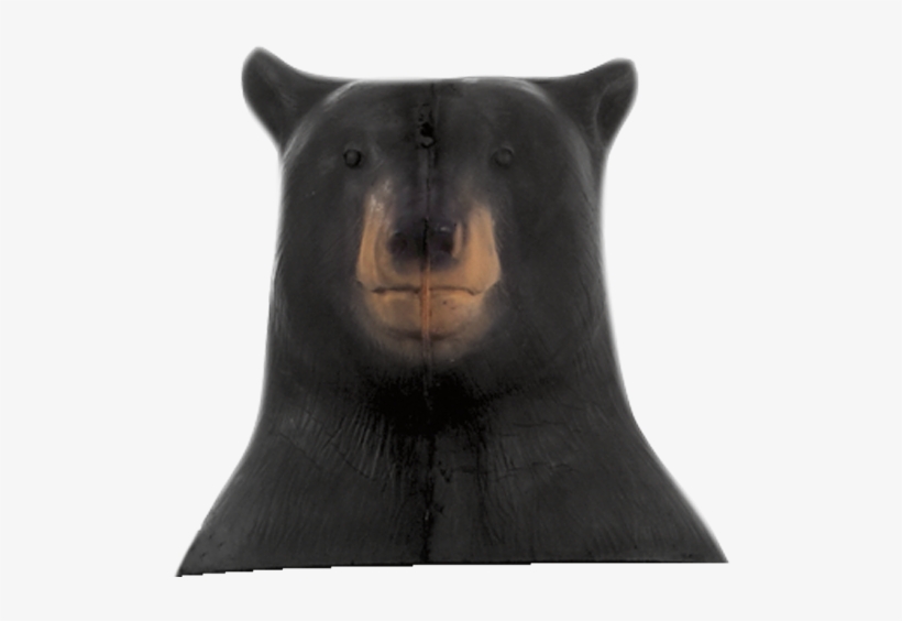 Standing Bear Head - Standing Bear, transparent png #1848456