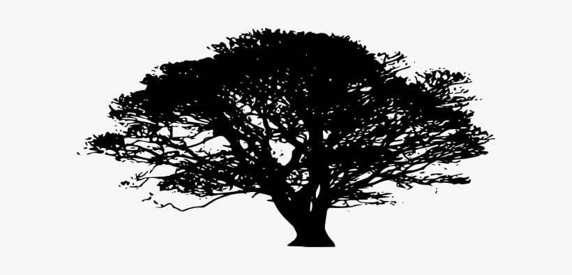 African Clip Art At - Oak Tree Silhouette Png, transparent png #1848475