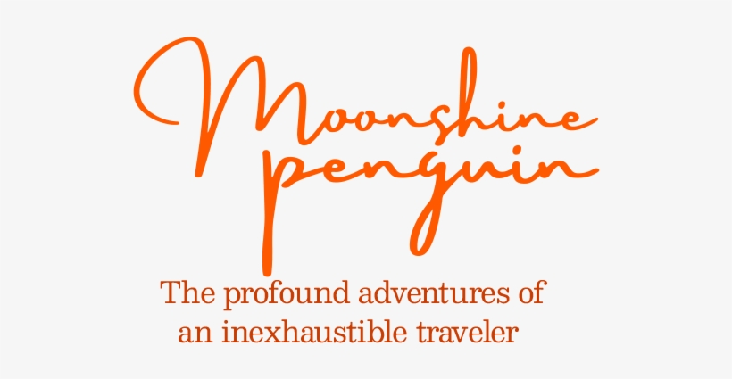 Moonshine Penguin - Penguin, transparent png #1848928