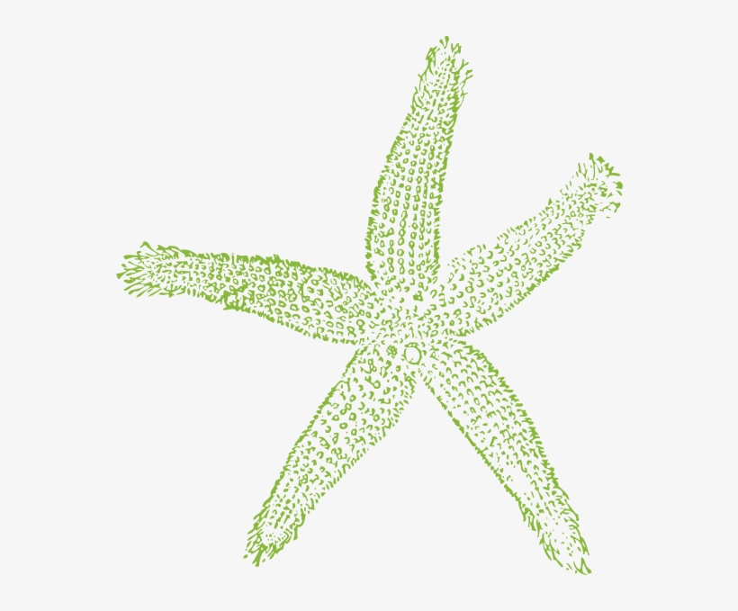 Starfish Svg File, transparent png #1849654