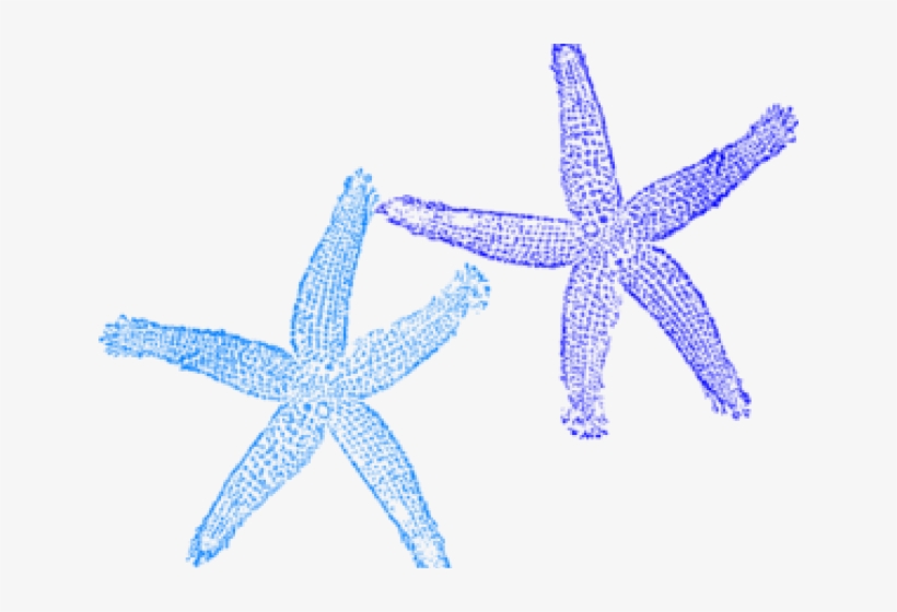 Sea Free On Dumielauxepices Net - Blue Starfish Clip Art, transparent png #1849788
