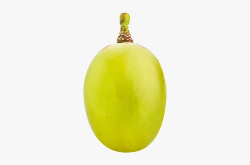 Raisins - Grape, transparent png #1849789