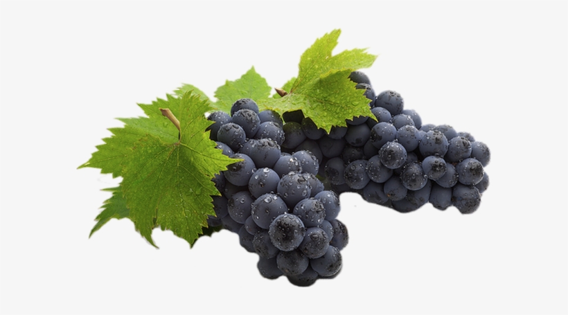 Počet Komentářů - - Екстракт От Гроздови Семки, transparent png #1849813