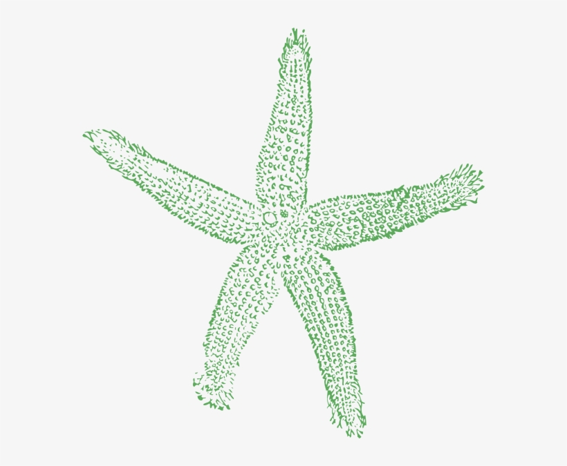 Starfish Cartoon - Private Listing For Pam 2 Pair Custom Angela Style, transparent png #1849940
