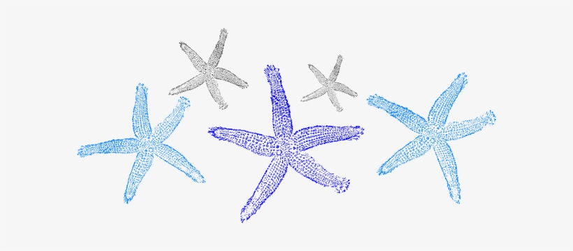 Prints Clip Art At Clker Com Vector - Gold Or Silver Metallic Shoe Upgrade, Gold Silver Bridal, transparent png #1849961