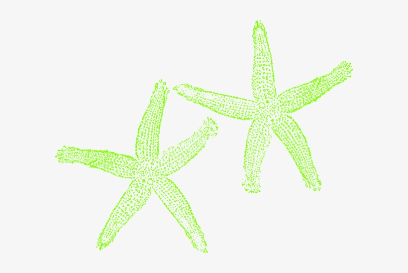 Lime Green Starfish Clipart Png For Web, transparent png #1849962