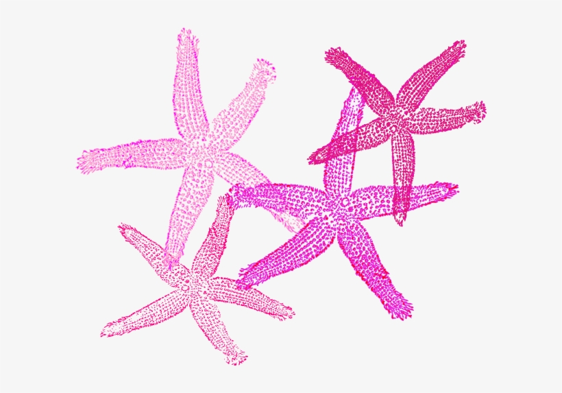Starfish Clipart Peach - Private Listing For Pam 2 Pair Custom Angela Style, transparent png #1850052