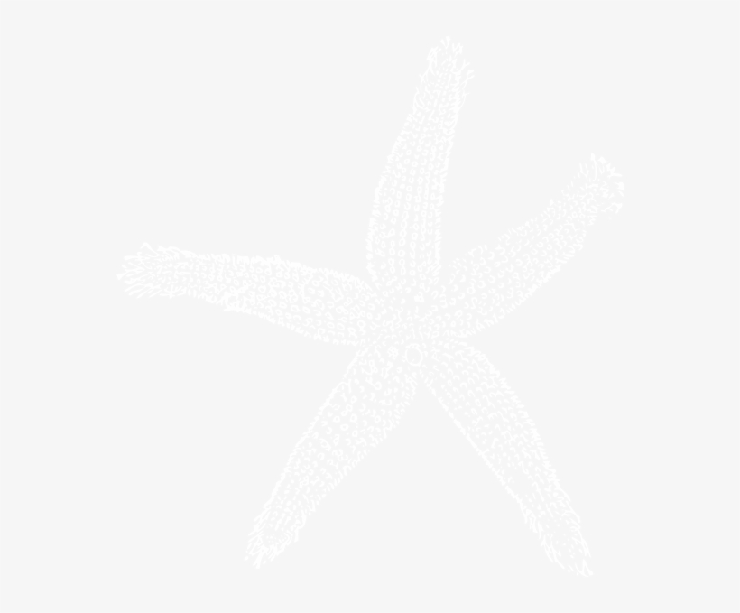White Starfish Png Download - Ps4 Logo White Transparent, transparent png #1850178