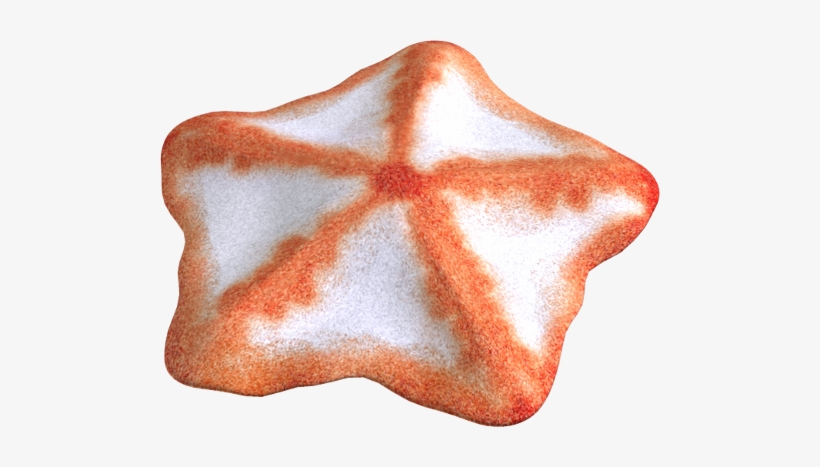 Starfish Png - Clip Art, transparent png #1850181