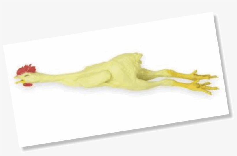 Using Rubber Chickens Can Improve Your Vdp Jobs - Visual Arts, transparent png #1850735