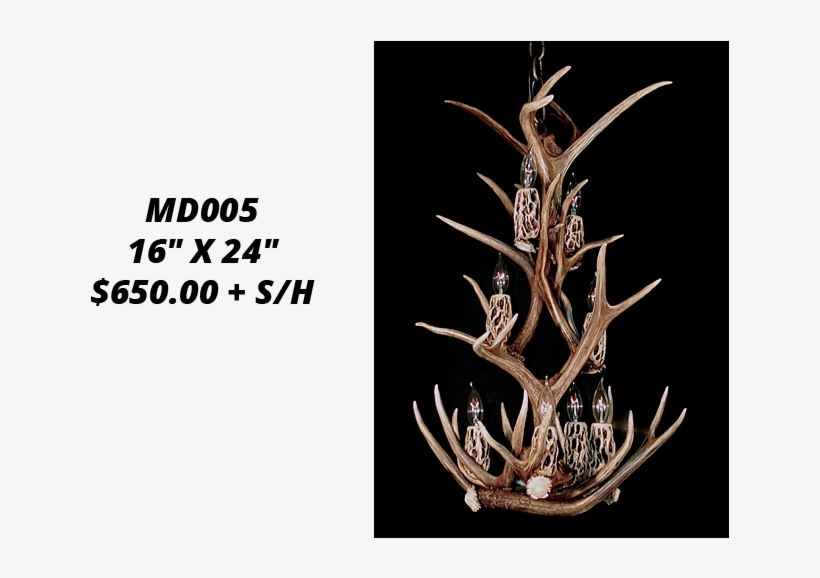 406 295 9041 Call Today - Wood, transparent png #1850894