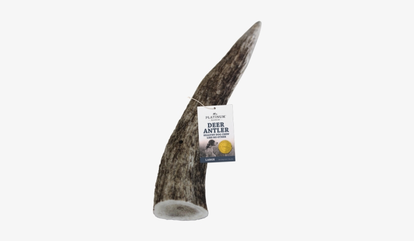 Deer Antler Chew Large - Platinum Ranch, transparent png #1850962