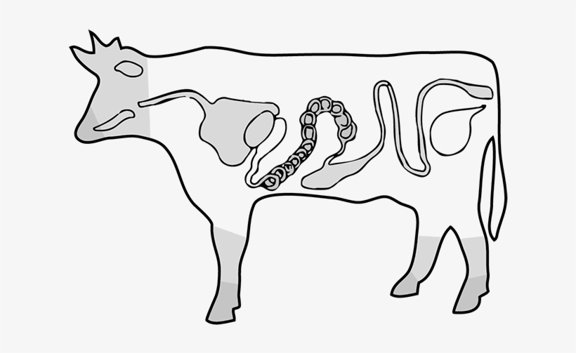 Image Freeuse Library Beef At Getdrawings Com Free - Drawing, transparent png #1851977
