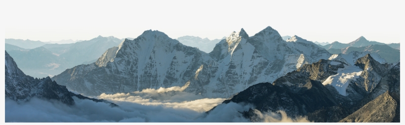 Bear Grylls, transparent png #1852433