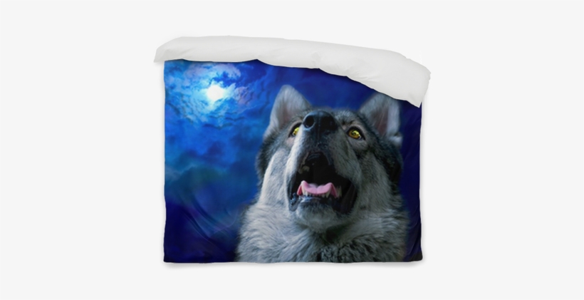 Wolf/wolf At Night, Select Focus On Eyes - Photography, transparent png #1852568