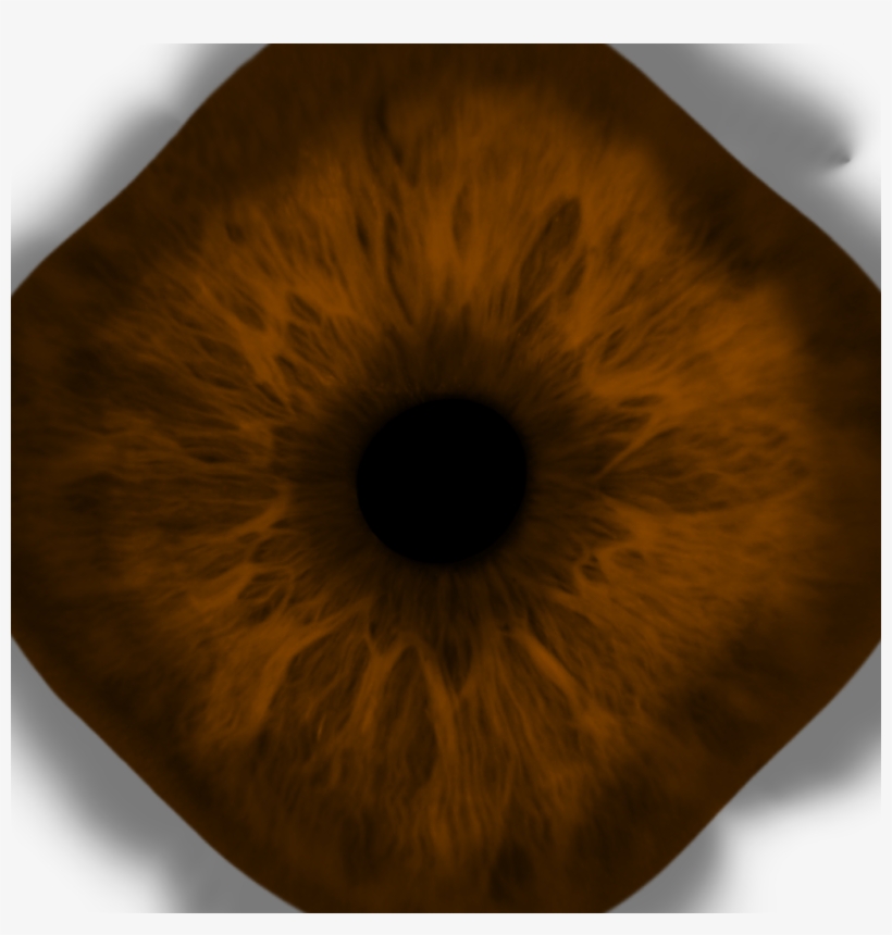 Wolf Eye - Eye, transparent png #1852669