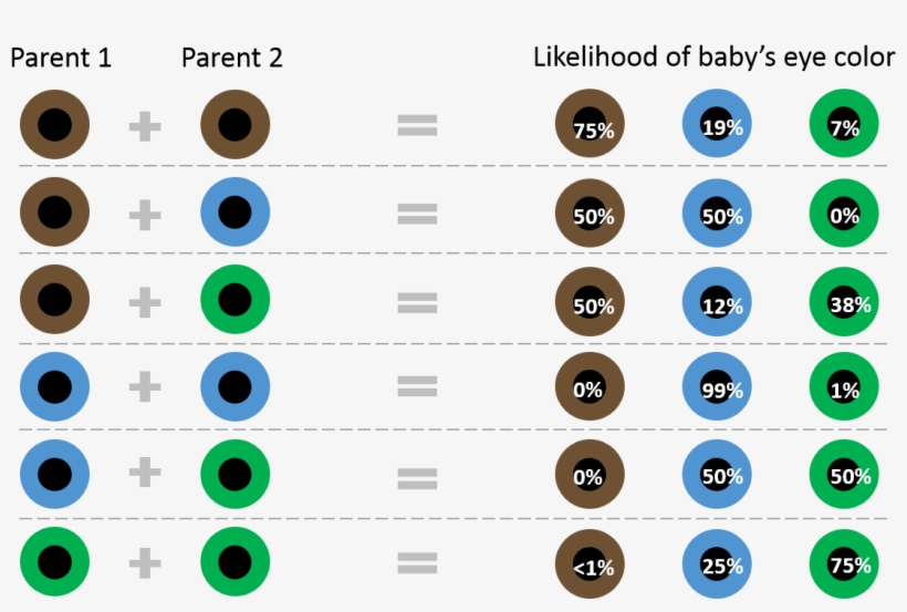 How Eye Color Is Inherited - Colored Eyes Chart, transparent png #1852762