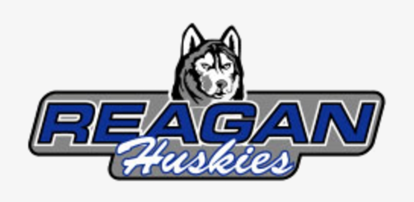 The Golda Meir Owls Defeat The Ronald Reagan Huskies - Siberian Husky, transparent png #1852956