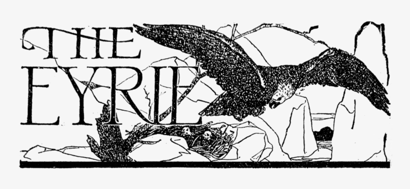 "the Eyrie" Banner Title, Showing A Bird Of Prey Landing - Weird Tales, transparent png #1853994