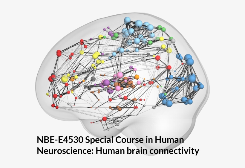 Course Logo - Brain Connectivity, transparent png #1854691
