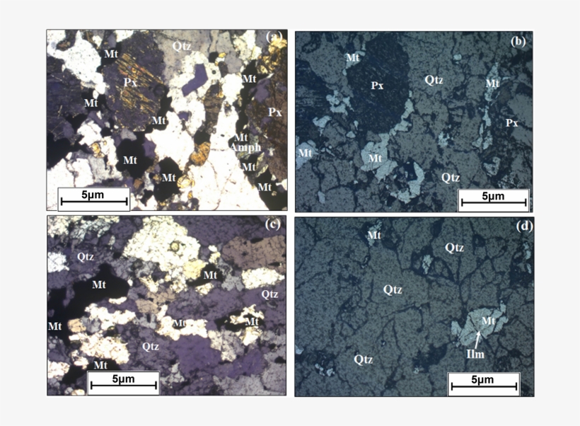 Representative Polarized And Reflected , (d)) Light, transparent png #1855035
