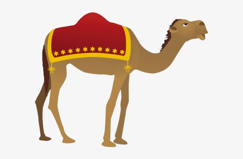 Clip Arts Related To - Camel Clipart, transparent png #1855074