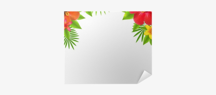 Tropical Flower Border Transparent, transparent png #1855378