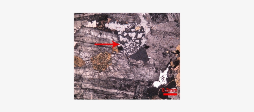 Poster, transparent png #1855468