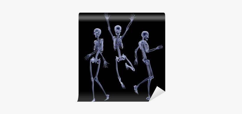 Skeleton, transparent png #1855864