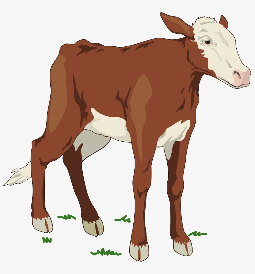 Cow 2 Free Vector - Animal Farm Cow, transparent png #1856250