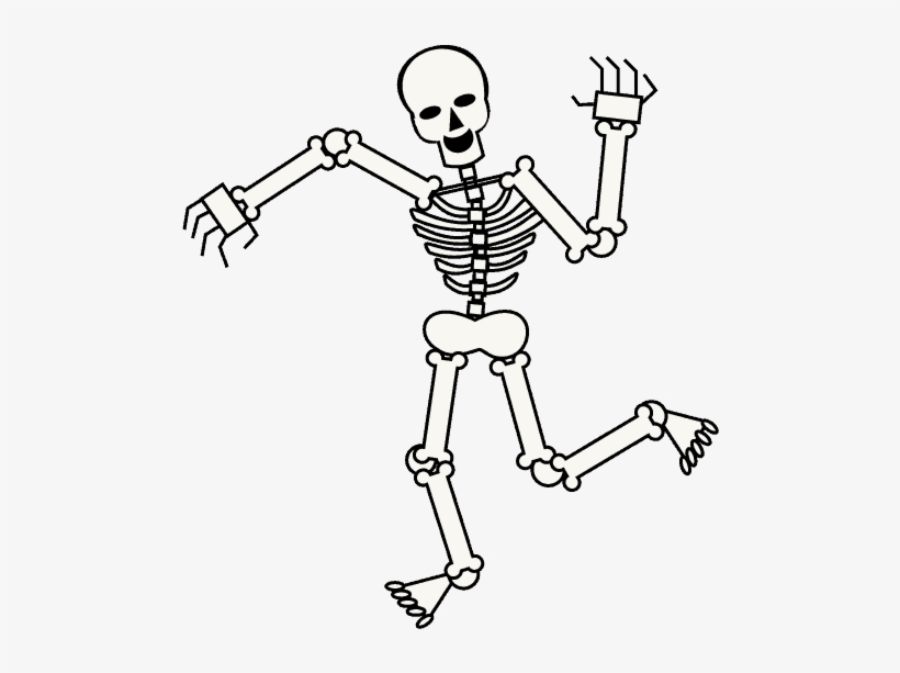 Human Skeleton Drawing Cartoon Skull - Skeleton Cartoon Png, transparent png #1856251