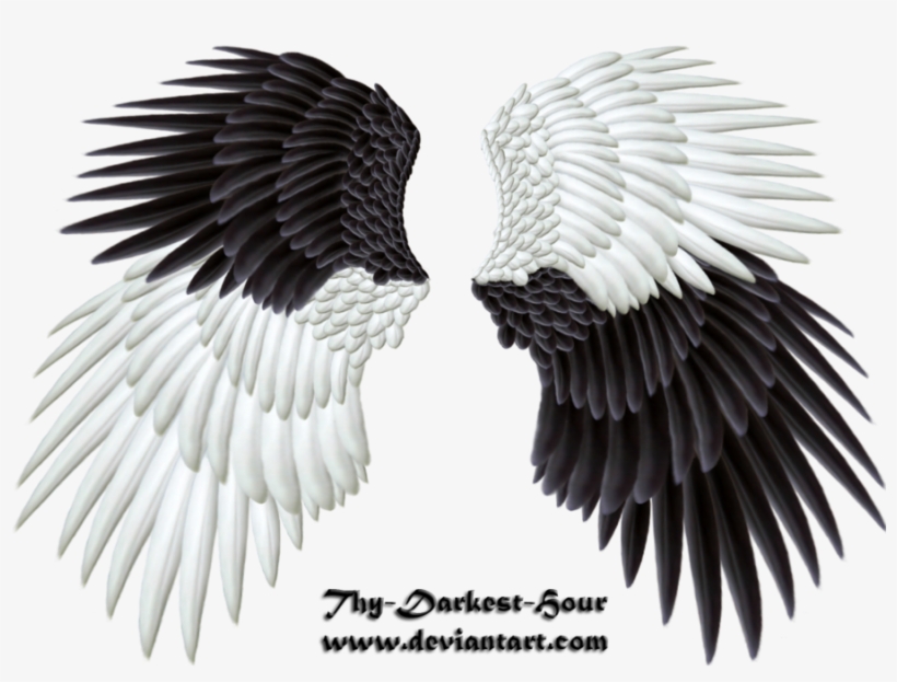 Evil Wings Png Banner Transparent Stock - Angel Of Good And Evil, transparent png #1857564