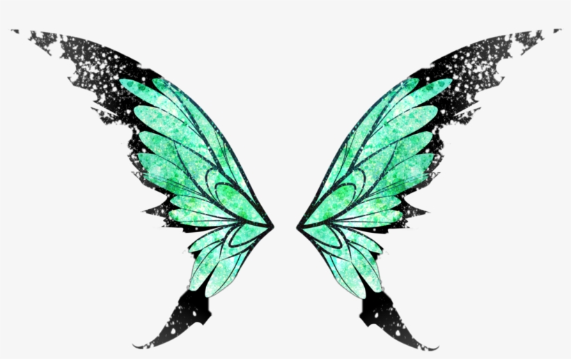Butterfly Butterflywings Wings Angel Angelwings Wing Png Fairy