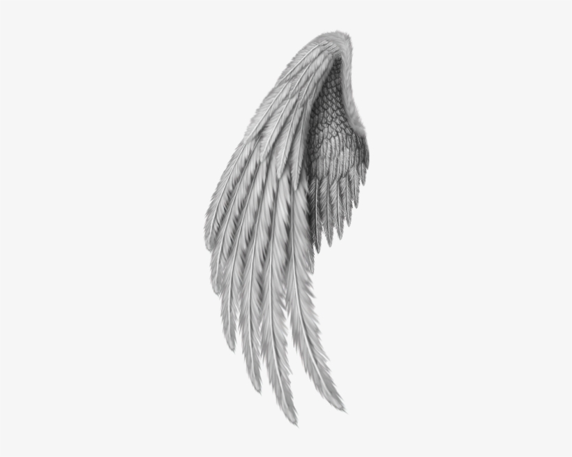 Angel Wings Freetoedit - Gold Angel Wings Png, transparent png #1857651