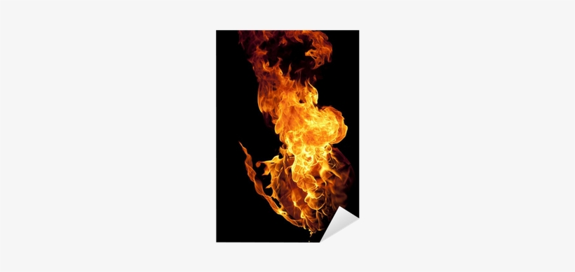 Catching Fire Mockingjay Pillow Sham, transparent png #1857936