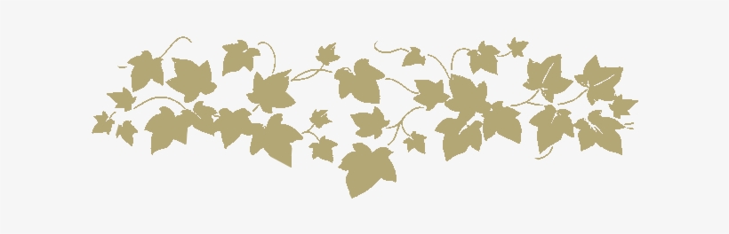 Home - Floral Vines Png, transparent png #1858275
